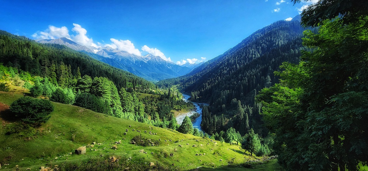 Scenic view of Pahalgam Valley, Kashmir